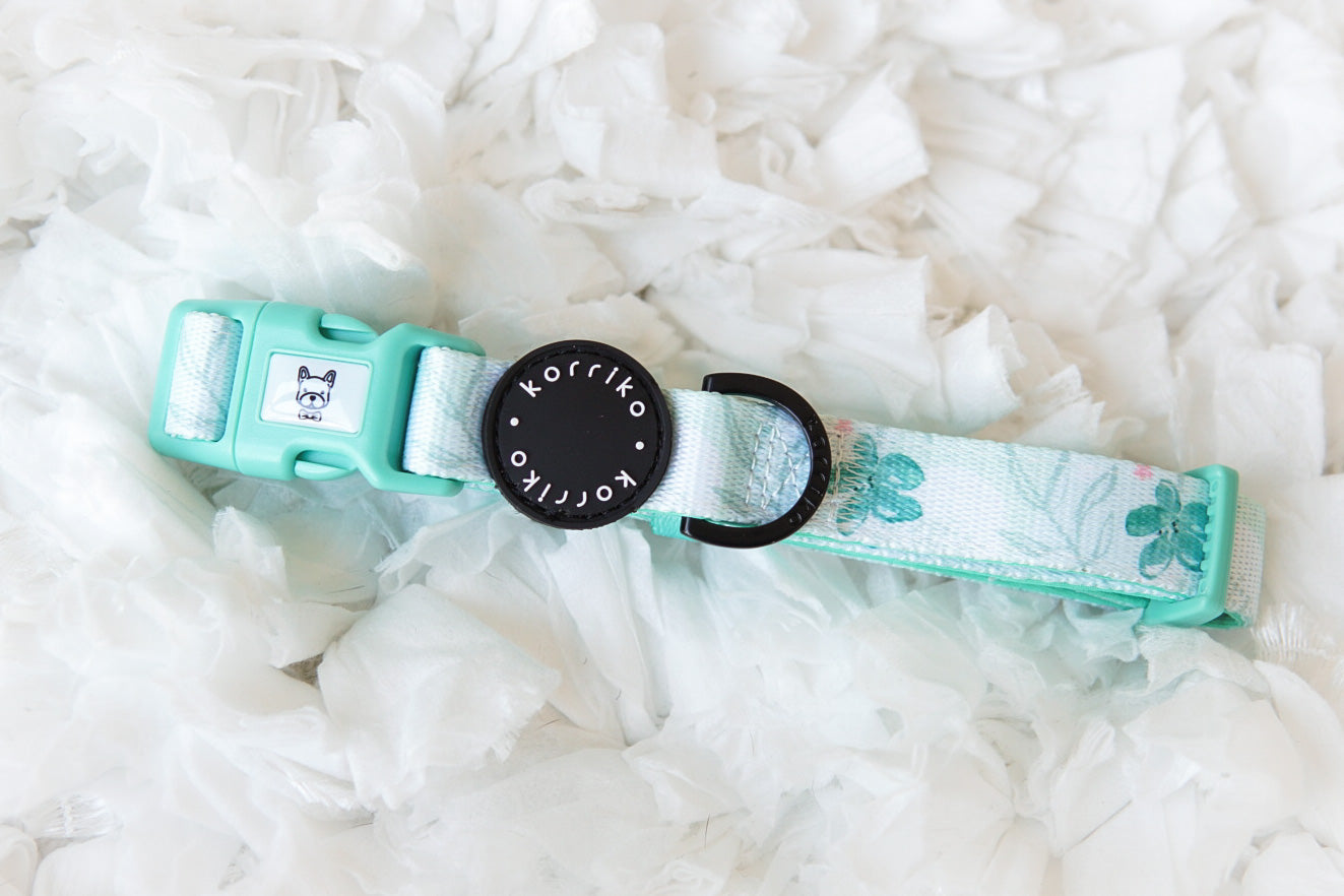 Ultimate Collar Bundle Set - Mint Sakura (5-Piece) (Final Sale)