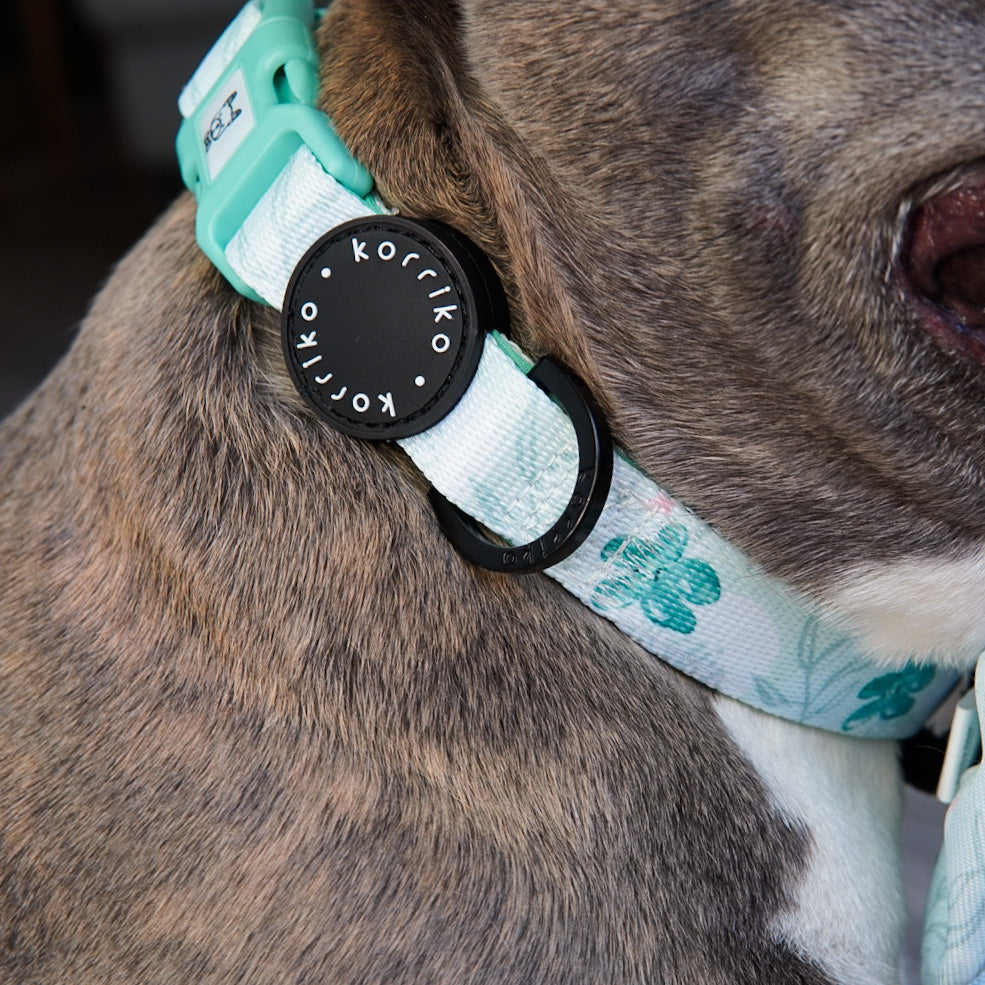 Ultimate Collar Bundle Set - Mint Sakura (5-Piece) (Final Sale)