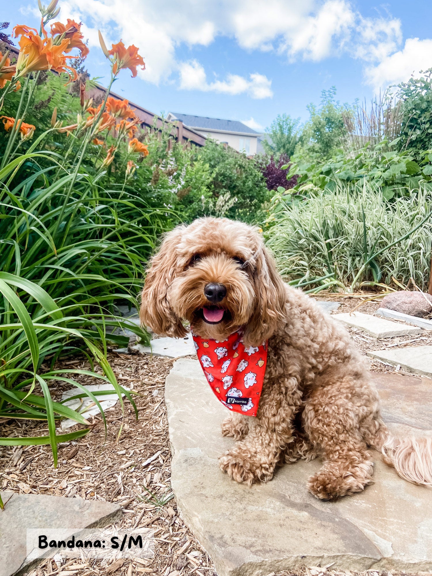 Cooling Dog Bandana - Moo Moo