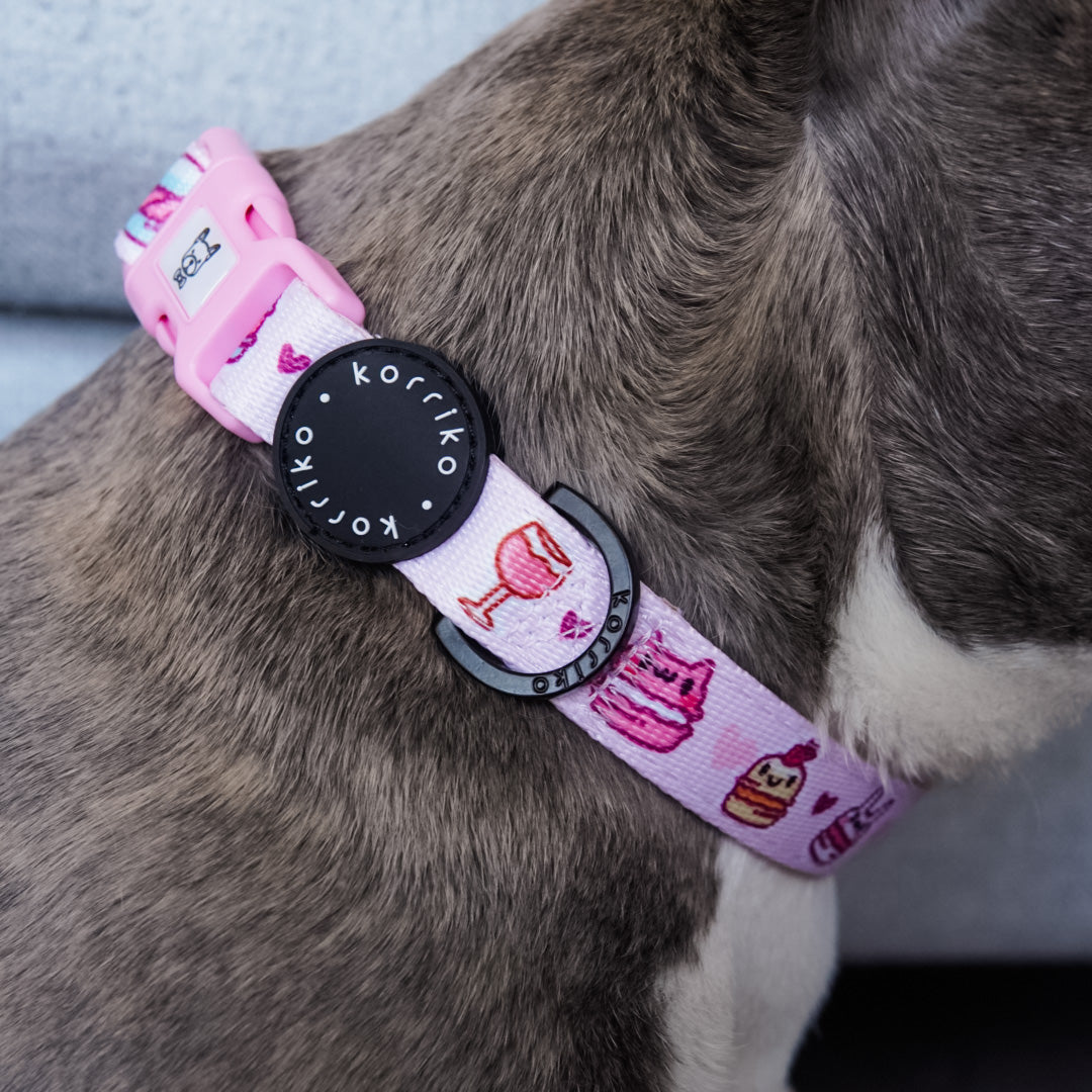 Ultimate Collar Bundle Set - Patisserie (4-Piece) (Final Sale)