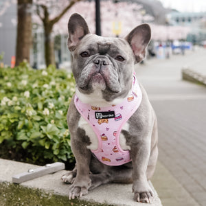 Adjustable Dog Harness - Patisserie