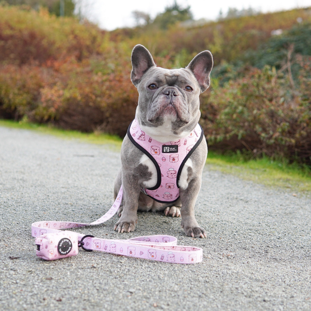 Adjustable Dog Harness - Piggin' Out (Blue Paw Co. - FINAL SALE)