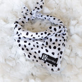 Ultimate Collar Bundle Set - Spotted (5-Piece) (Final Sale)