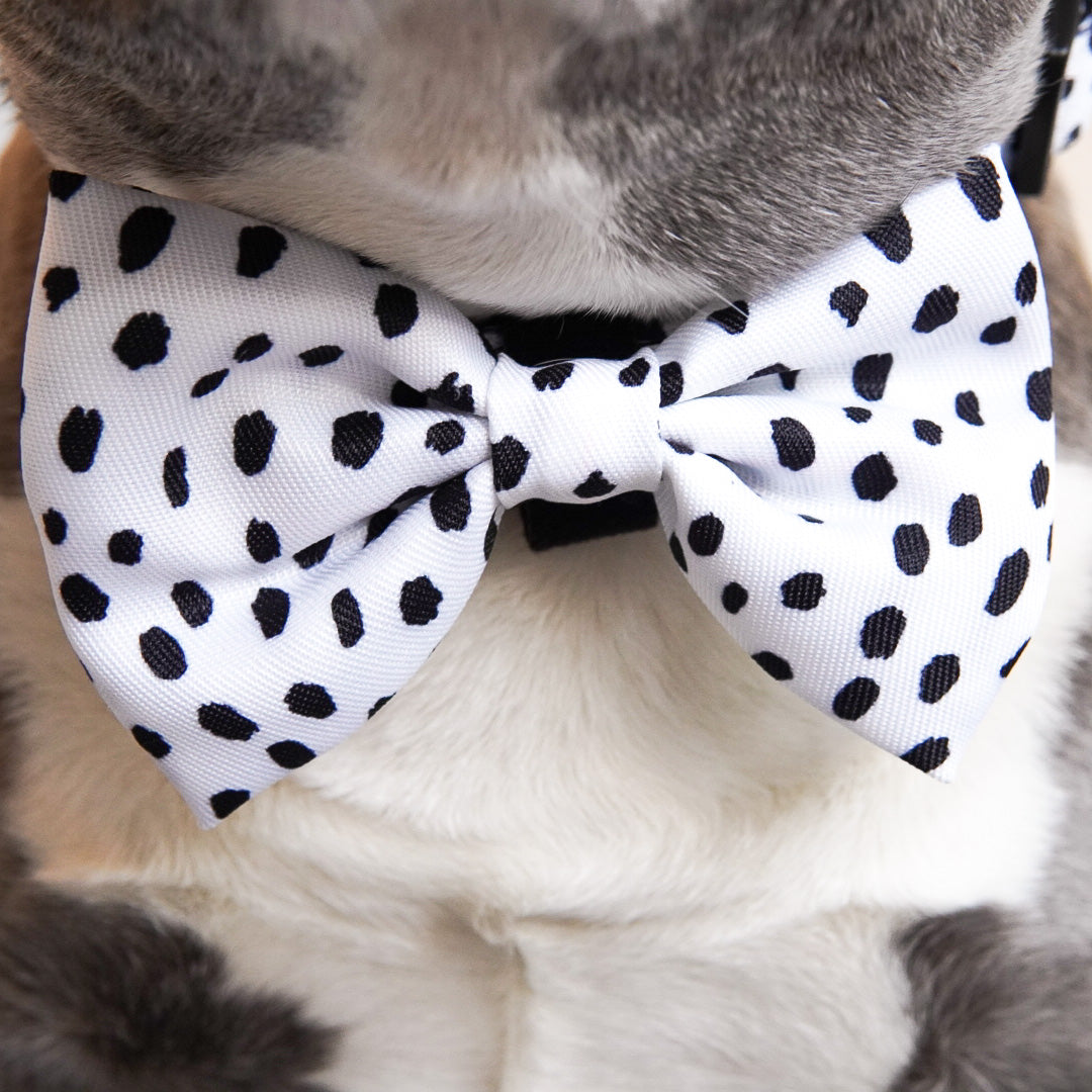 Ultimate Collar Bundle Set - Spotted (5-Piece) (Final Sale)