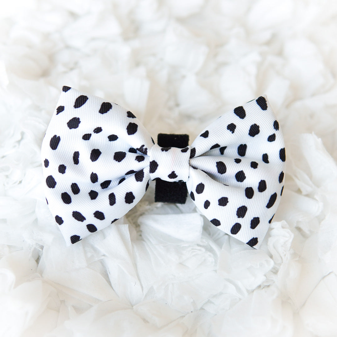 Ultimate Collar Bundle Set - Spotted (5-Piece) (Final Sale)
