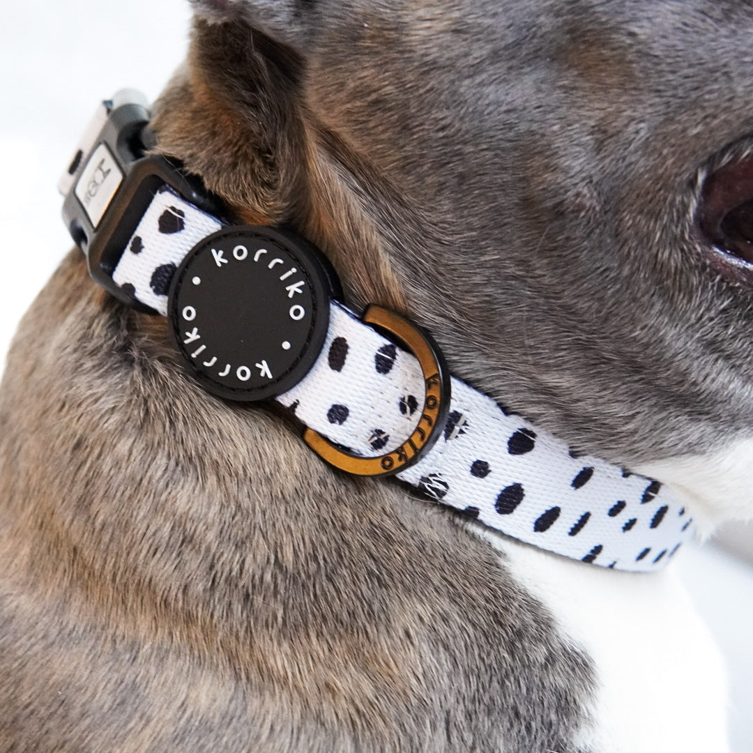 Ultimate Collar Bundle Set - Spotted (5-Piece) (Final Sale)