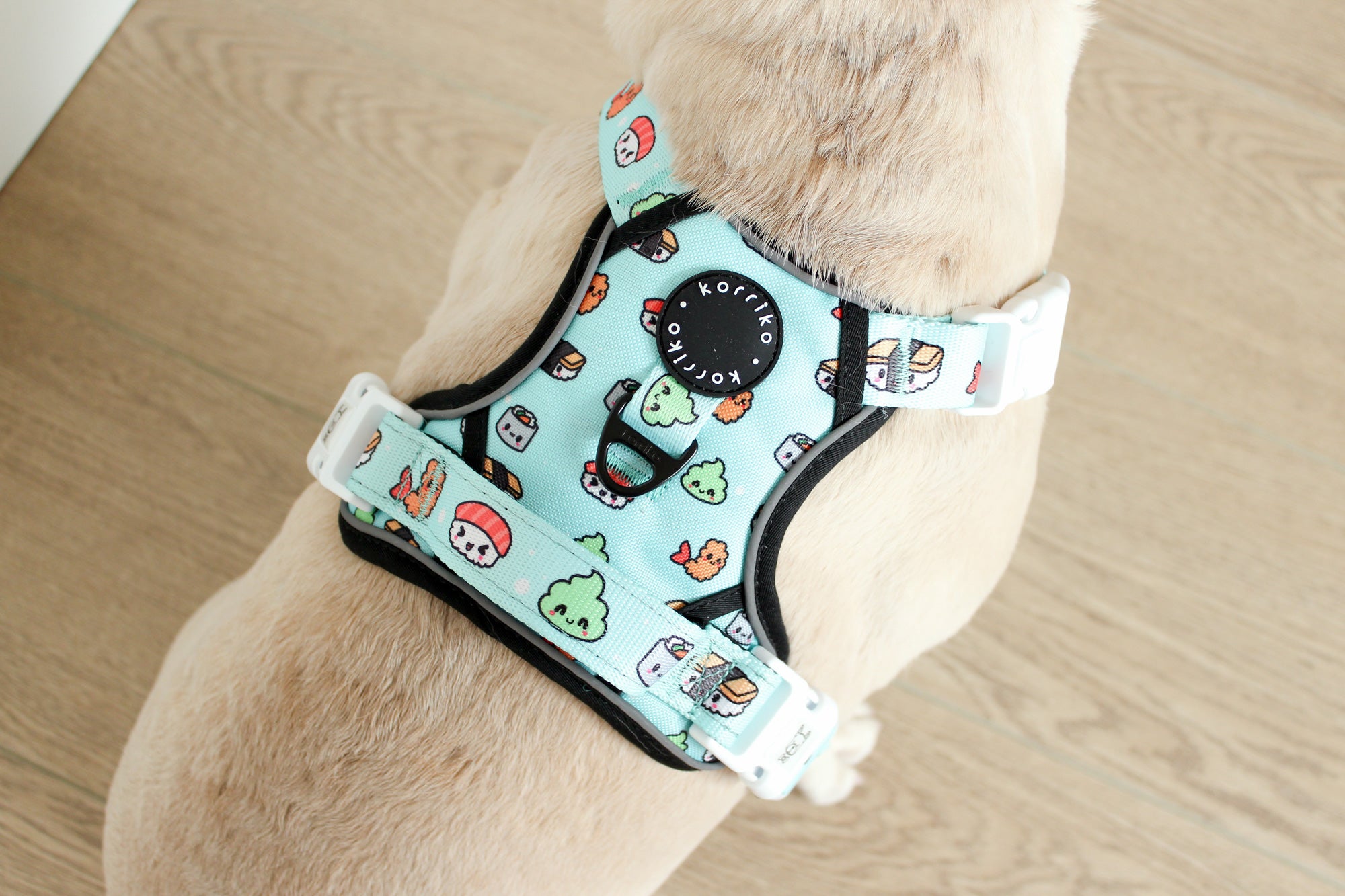 Exploration Lite No-Pull Dog Harness - Sushi