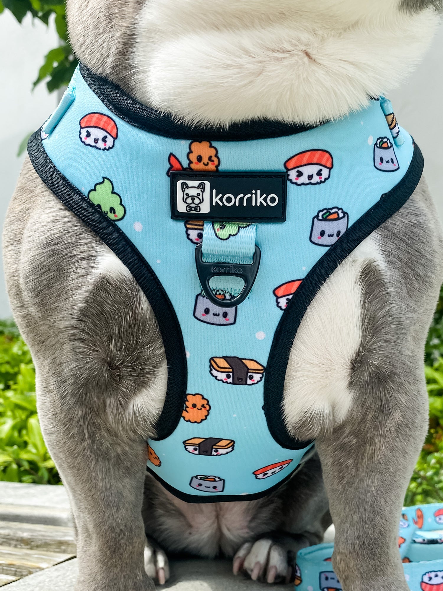 Adjustable Dog Harness - Sushi