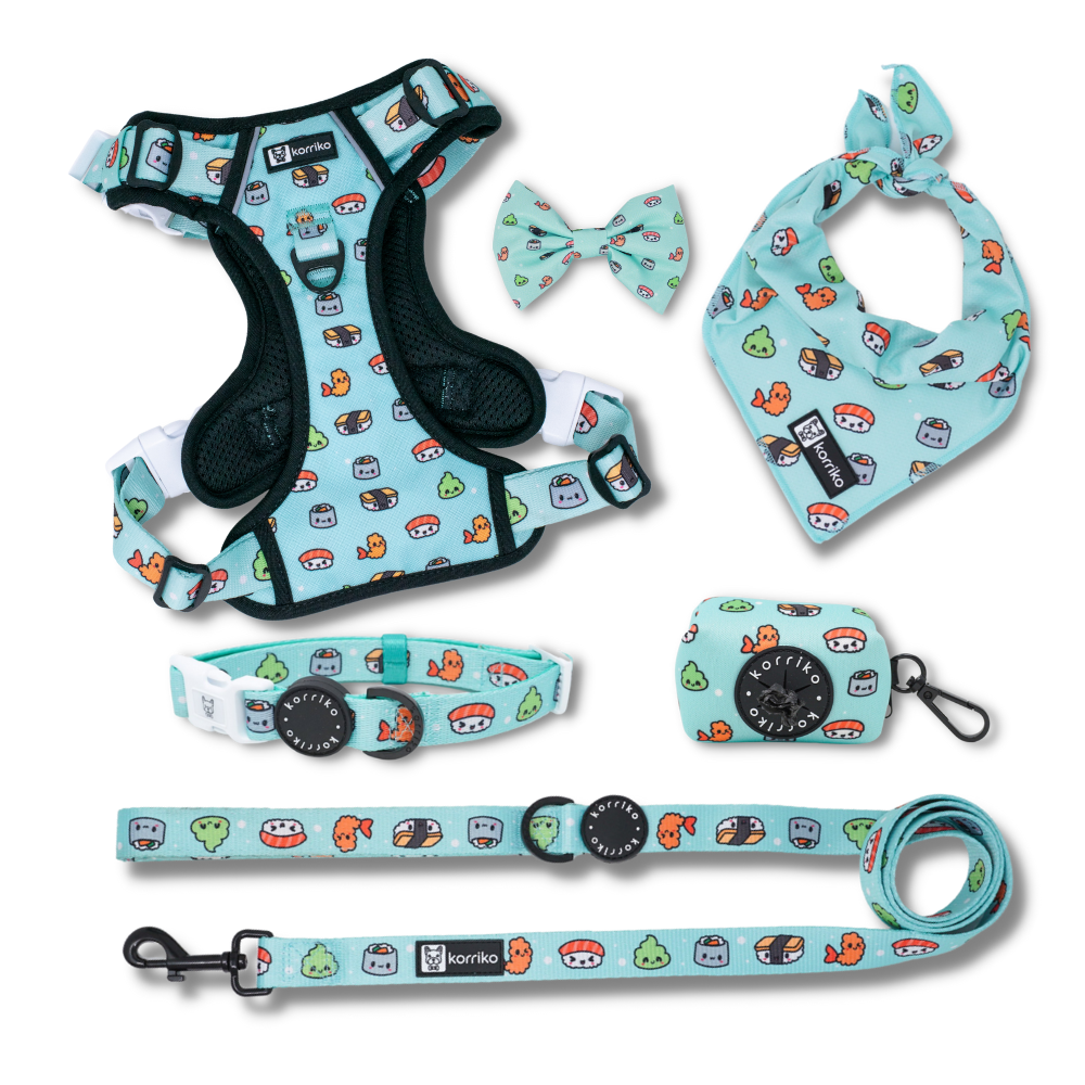 Harness Bundle Set - Sushi (Exploration No-Pull)