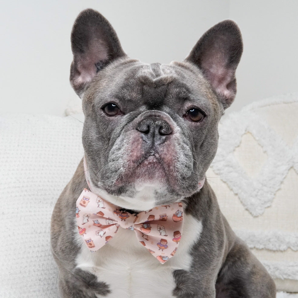 Dog Bow Tie - Coffee Break (Final Sale)