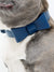 Signature Collar & Leash Set - Navy (Final Sale)